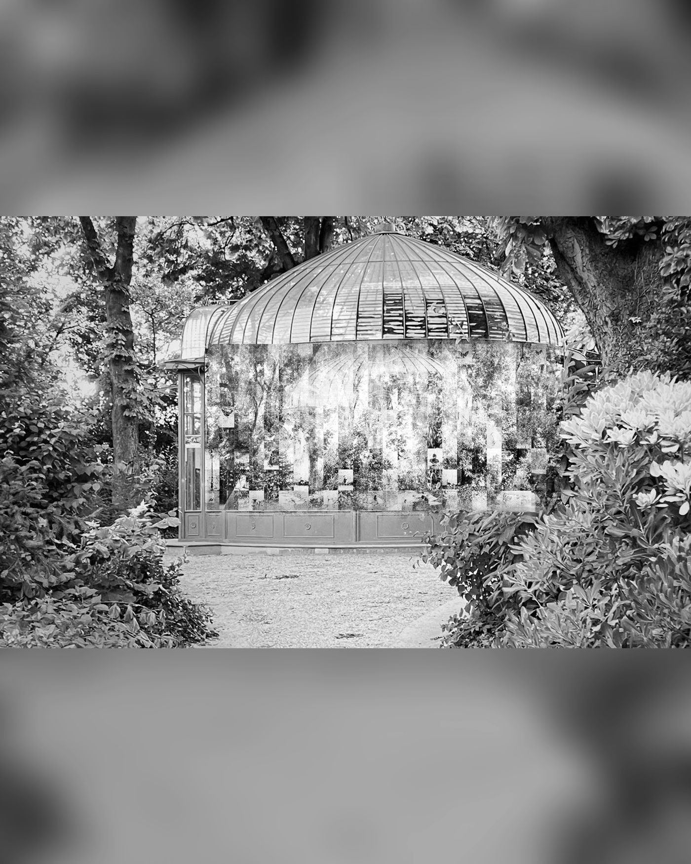A l'image du jardin / Exposition d'art contemporain au K.A.B par Luca Nicolao