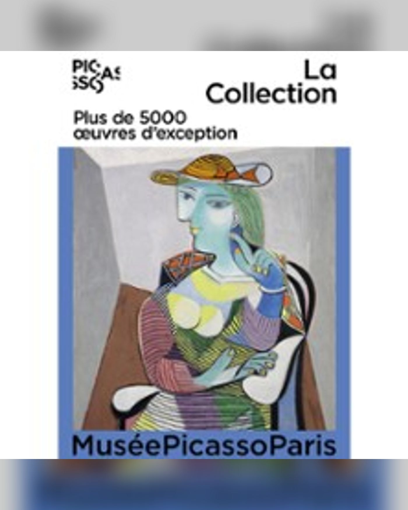 Billet Musée Picasso-Paris - La Collection