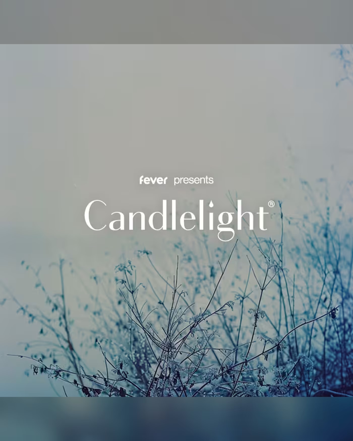 Candlelight : hommage à Ludovico Einaudi