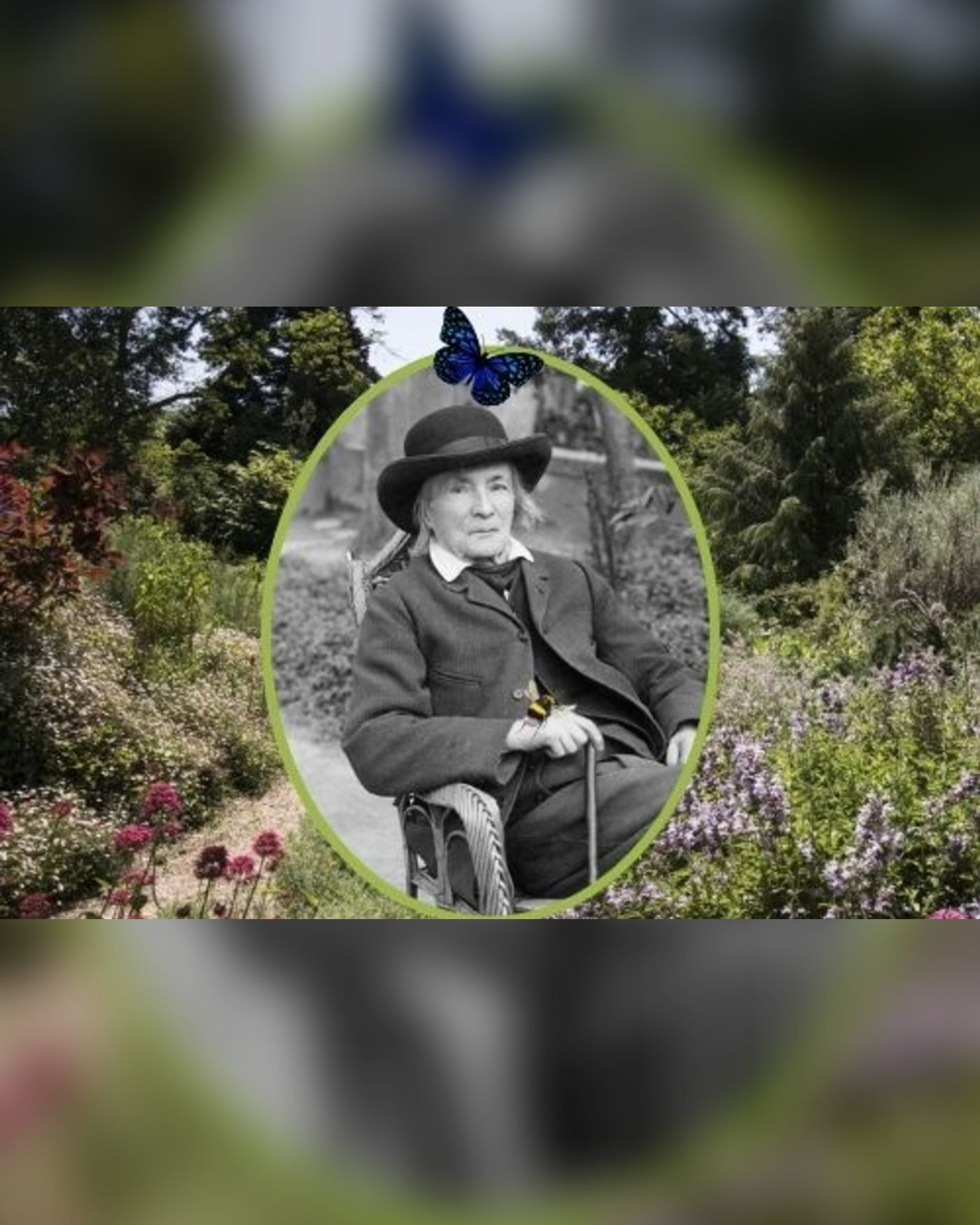 Exposition Jean-Henri Fabre