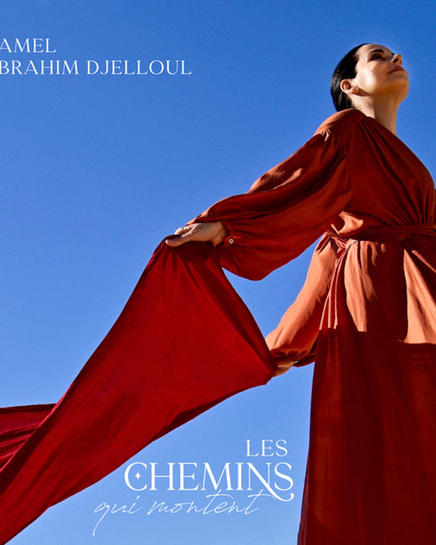 Festival Métis Plaine Commune 2026 : Amel Brahim-Djelloul "Les Chemins qui montent"
