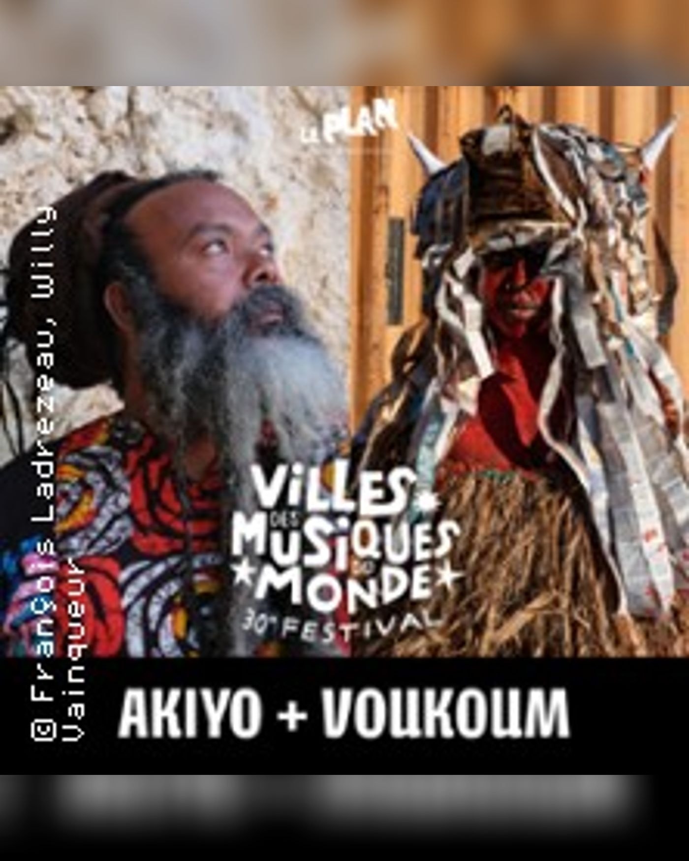 Festival Villes des Musiques du Monde