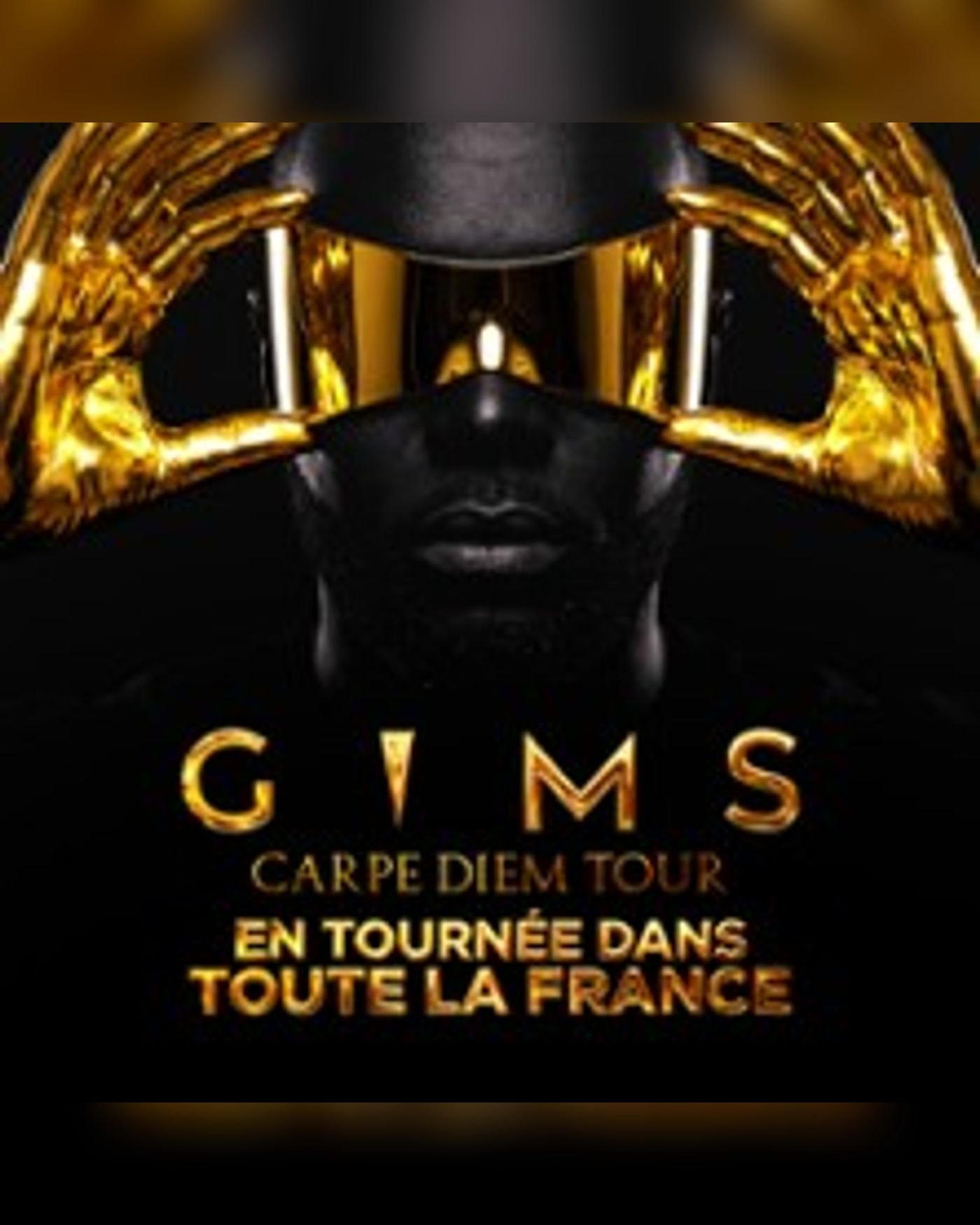 Affiche de GIMS - Carpe Diem Tour