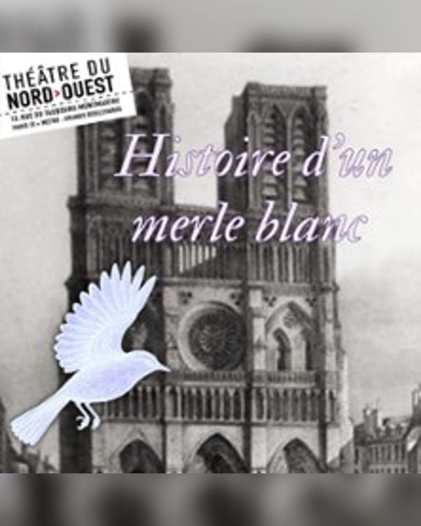 Histoire d'un Merle Blanc