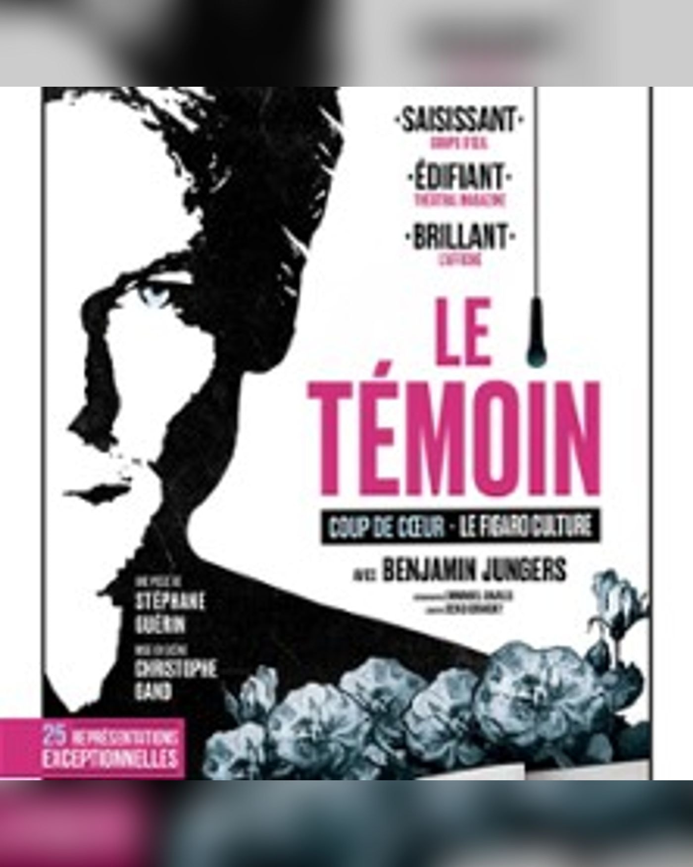 Le Témoin - Comédie Bastille, Paris