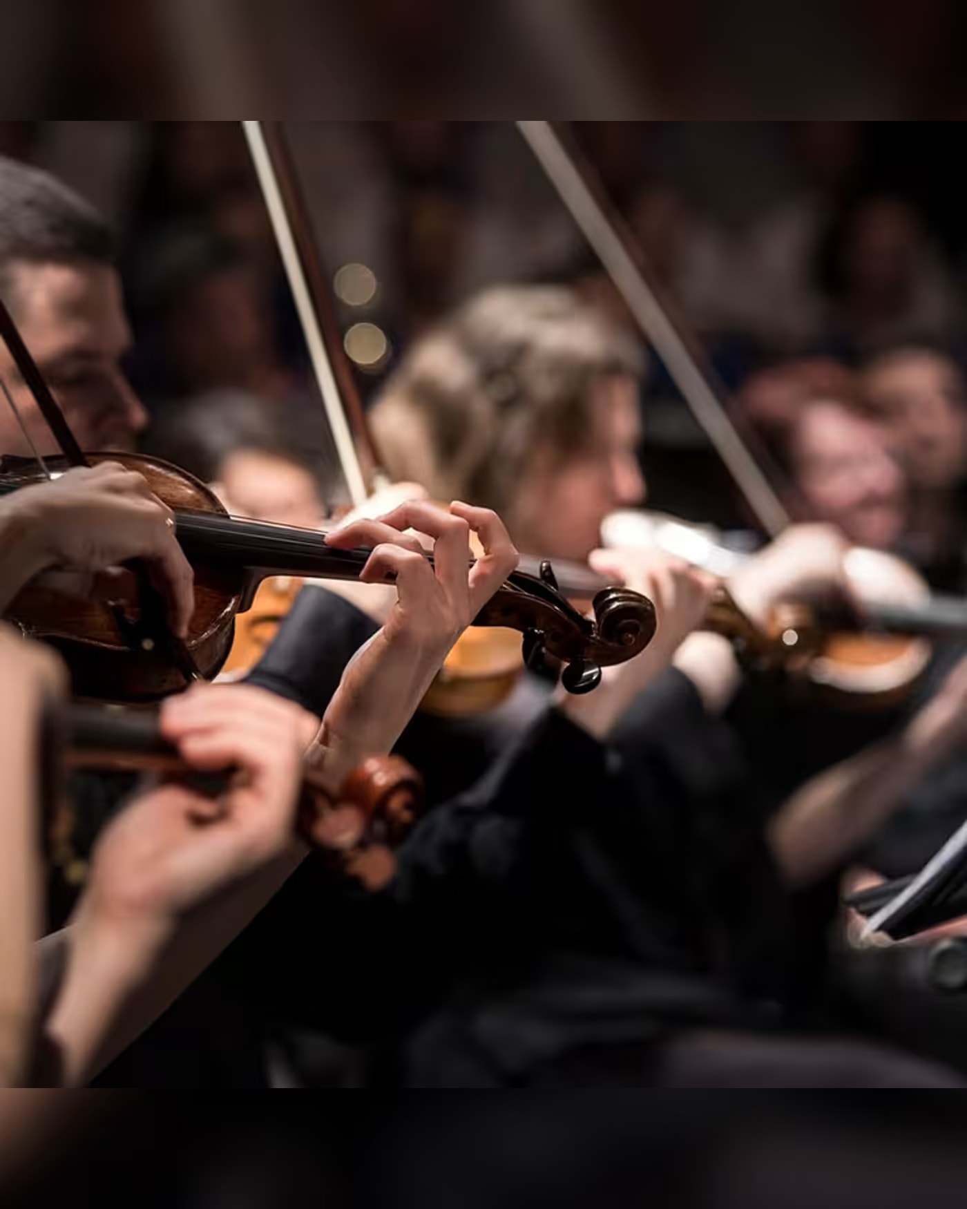 Musique et Patrimoine : Les Quatre Saisons de Vivaldi