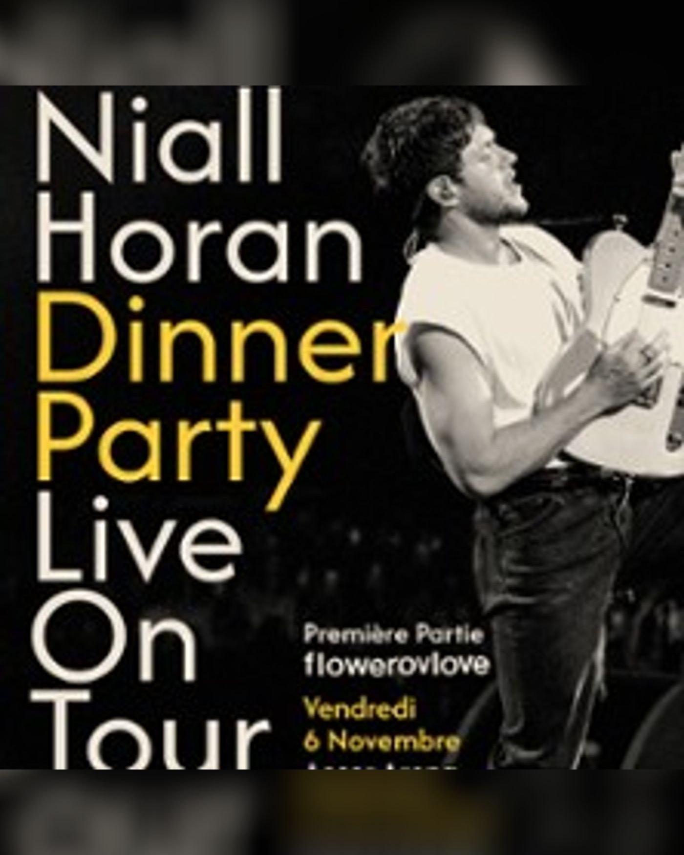 Affiche de Niall Horan - Dinner Party Live on Tour
