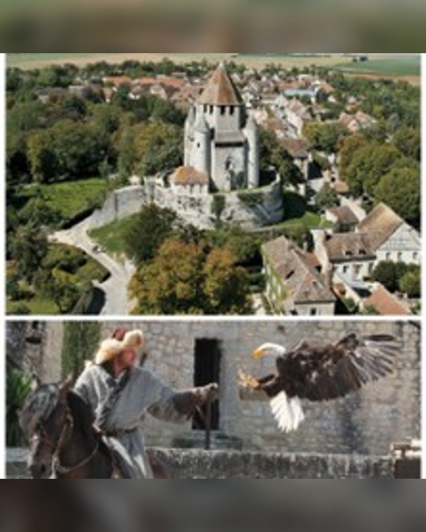 Pass Provins + Spectacle Les Aigles des Remparts