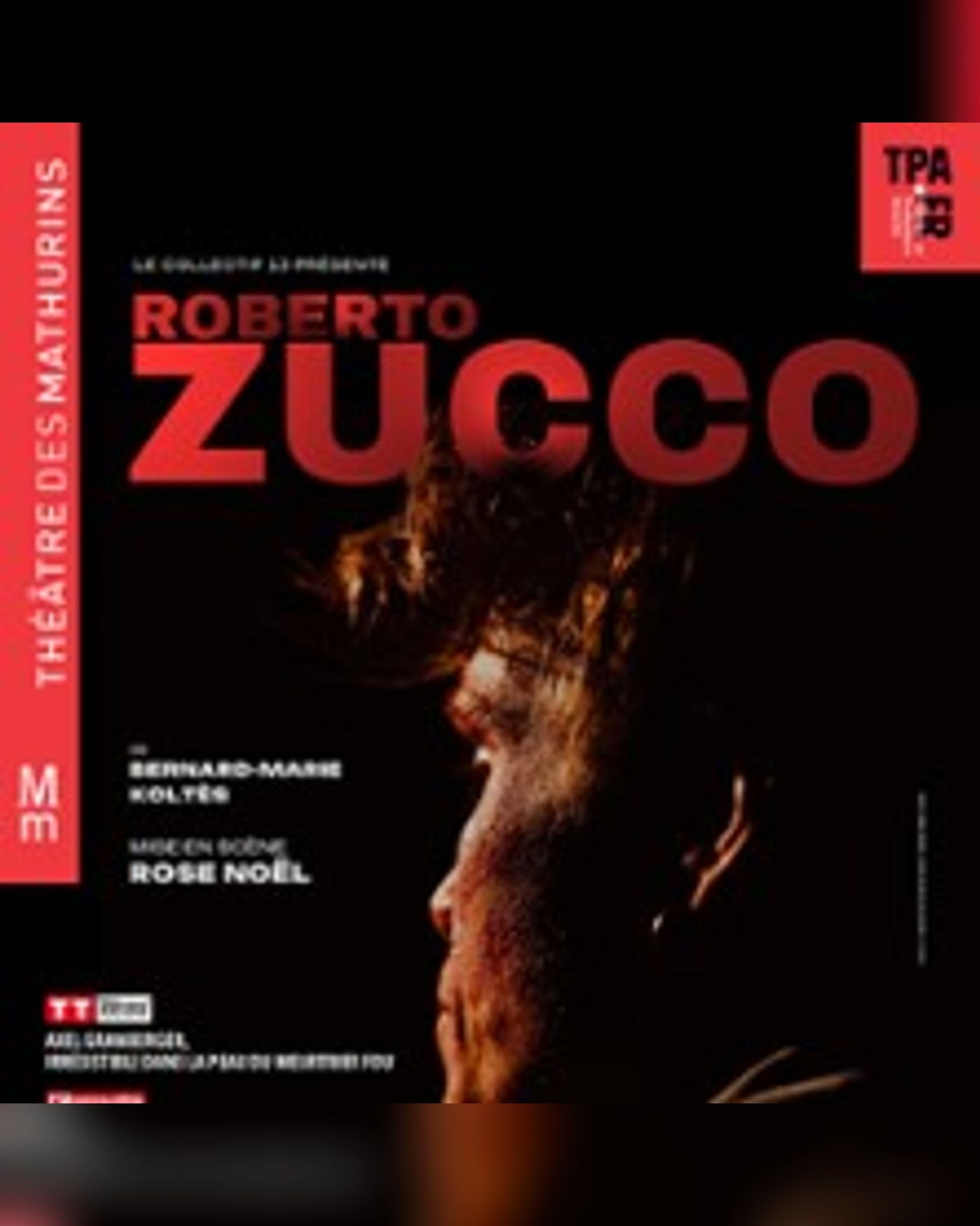 Roberto Zucco