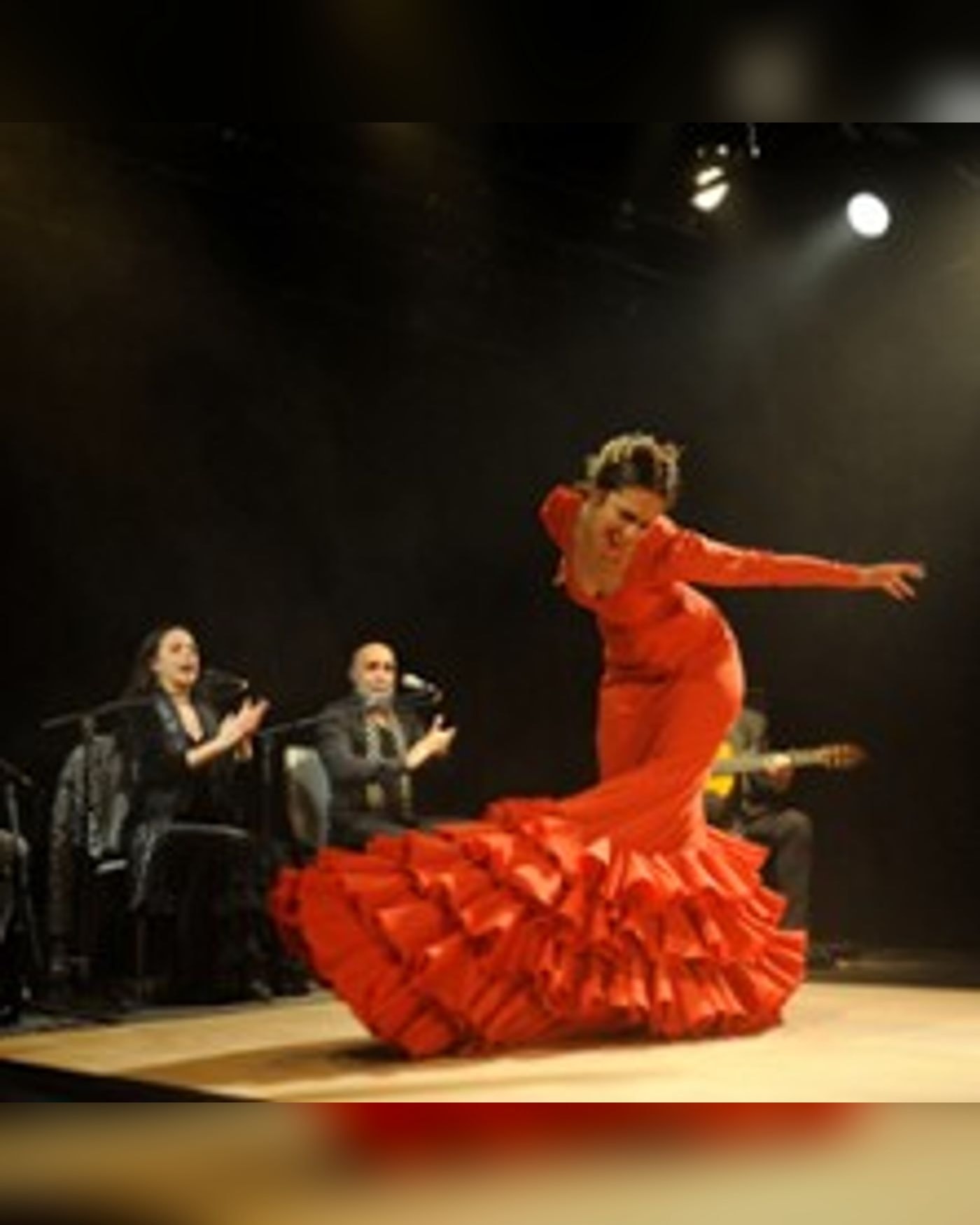 Tierra Viva - Compagnie Flamenco Alborea