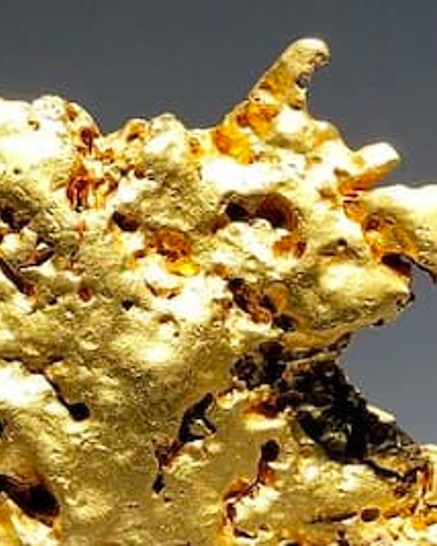 Visite de la Galerie de géologie et de minéralogie