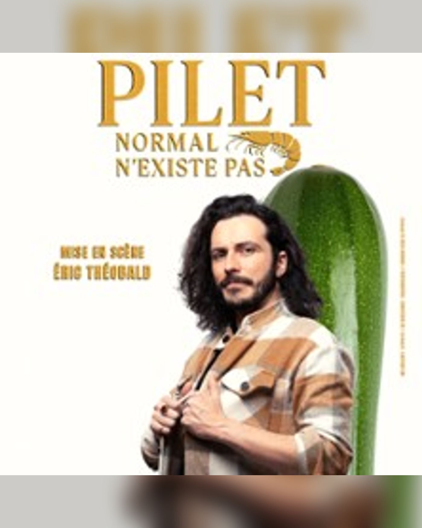 William Pilet - Normal N'existe pas - Tournée