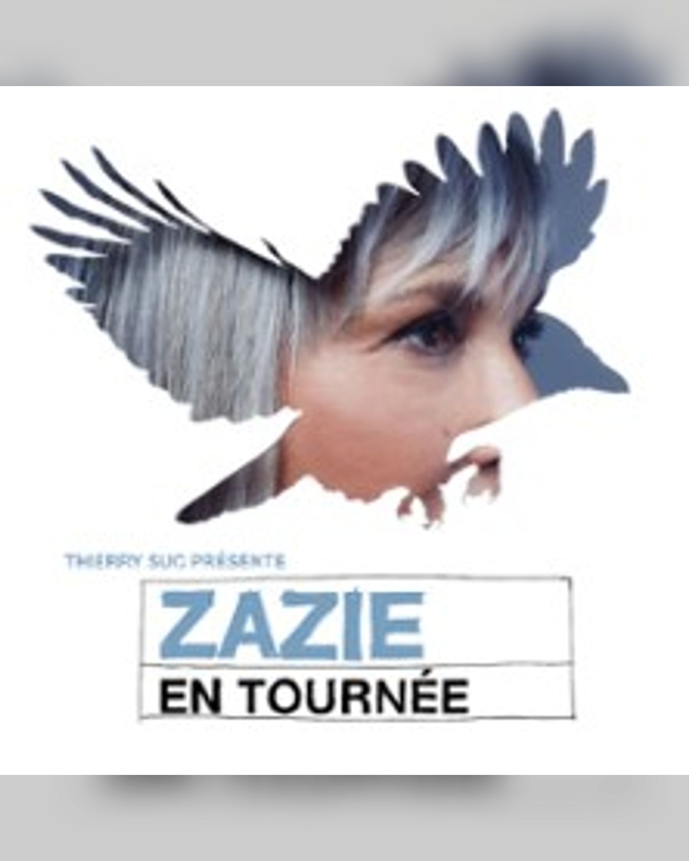 Zazie - Tournée