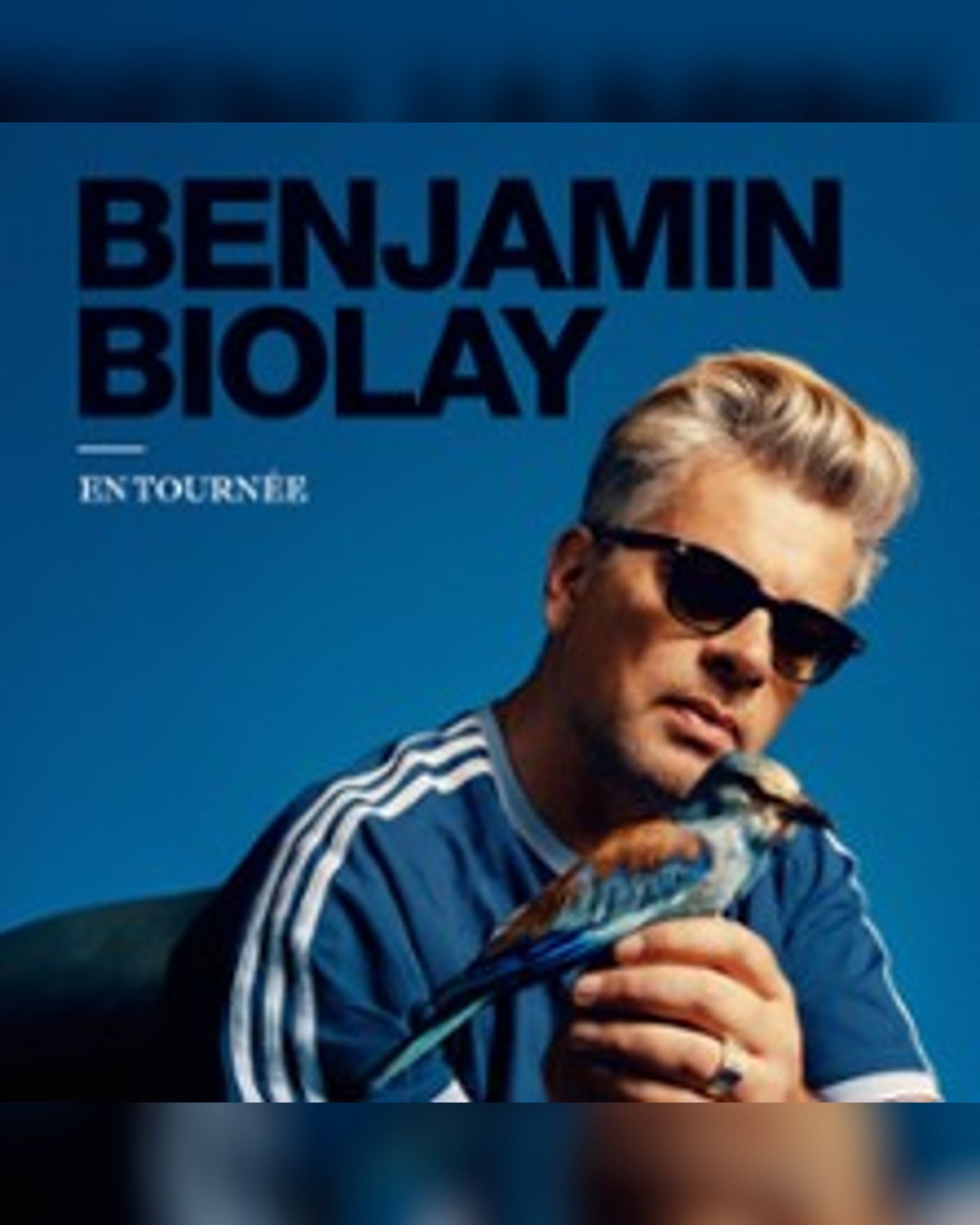 Affiche de Benjamin Biolay en Tournée