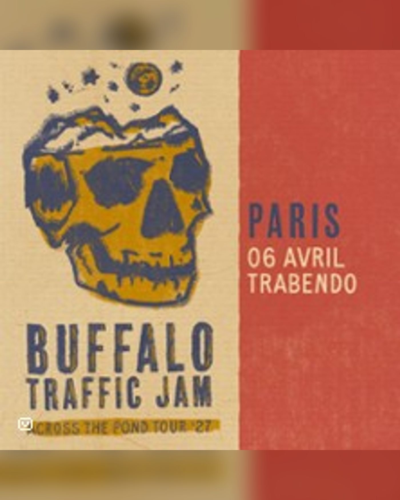 Buffalo Traffic Jam