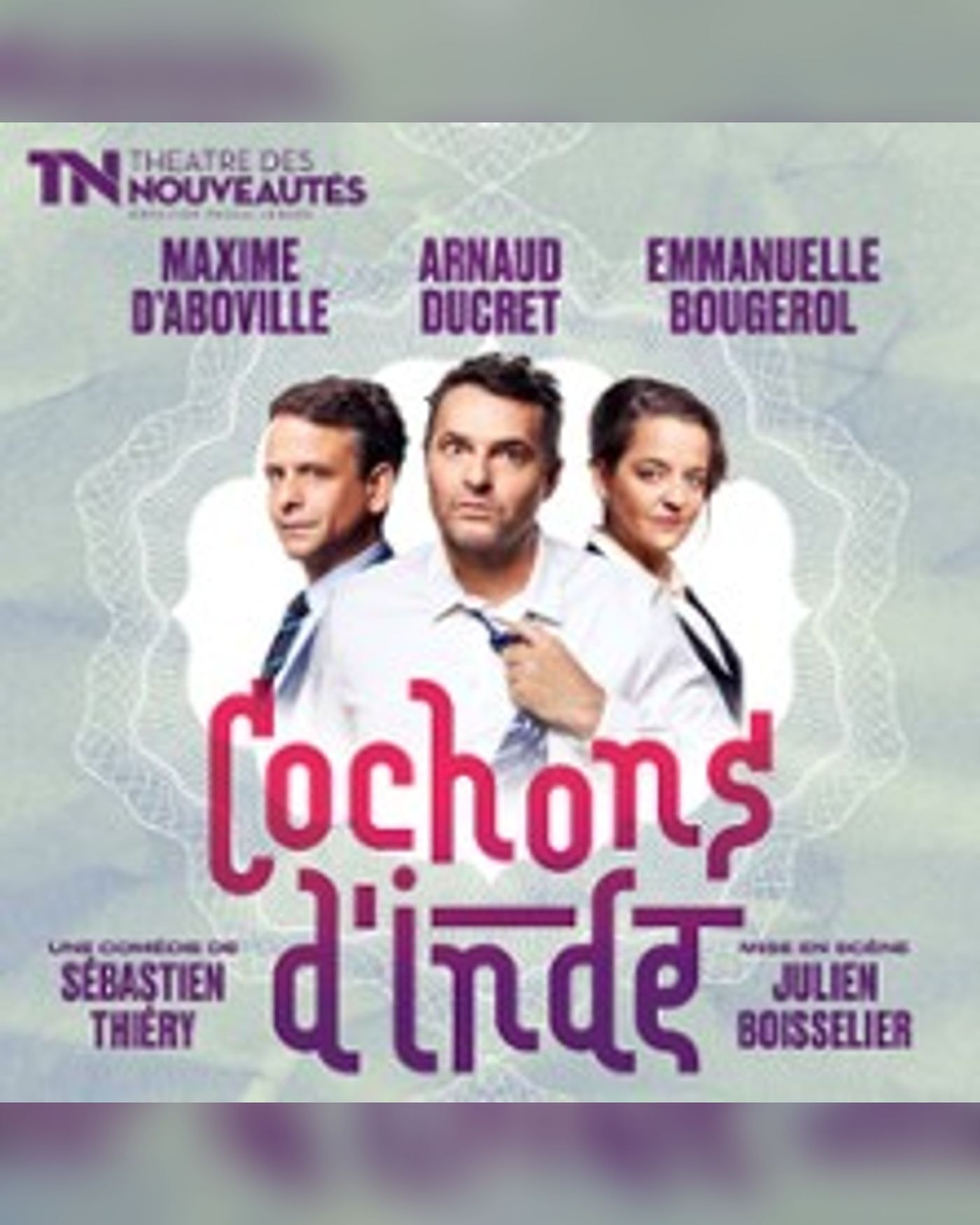 Cochons d'Inde