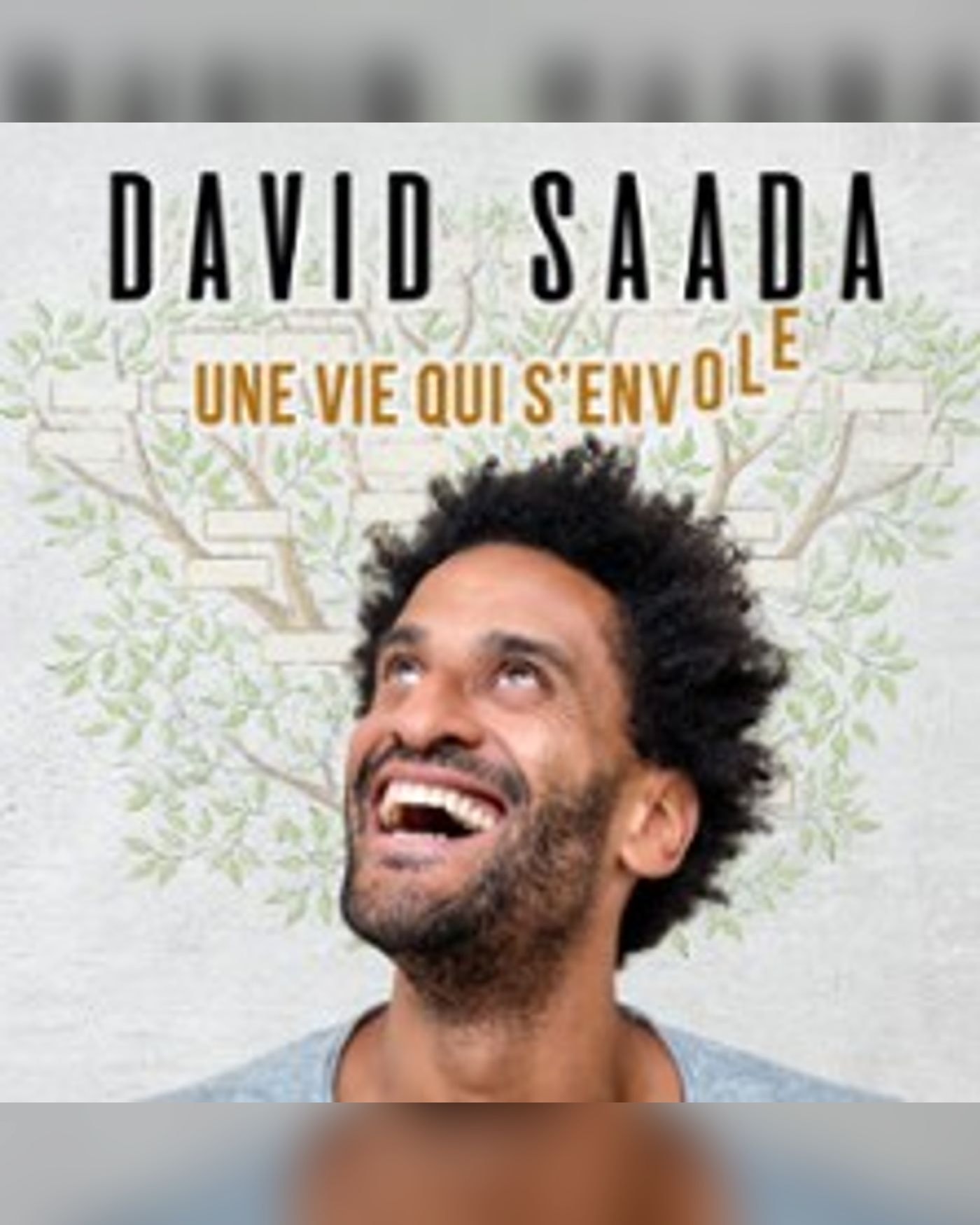 Poster for the show David Saada, Théâtre de Dix Heures