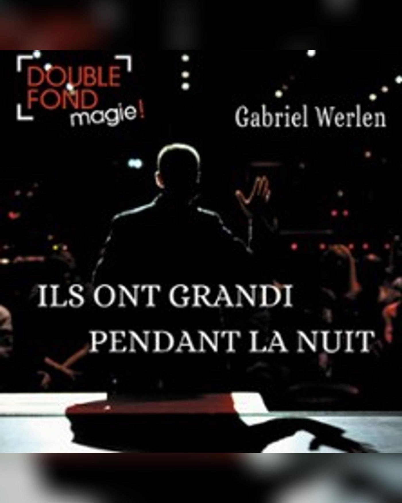 Affiche du spectacle Gabriel Werlen, Le Double Fond