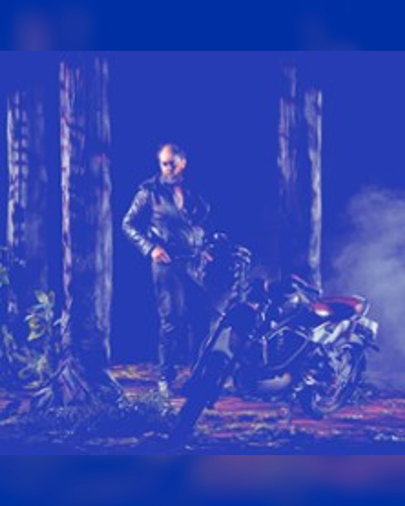 Affiche du spectacle I Will Survive, Théâtre de Saint-Quentin en Yvelines - Scène Nationale