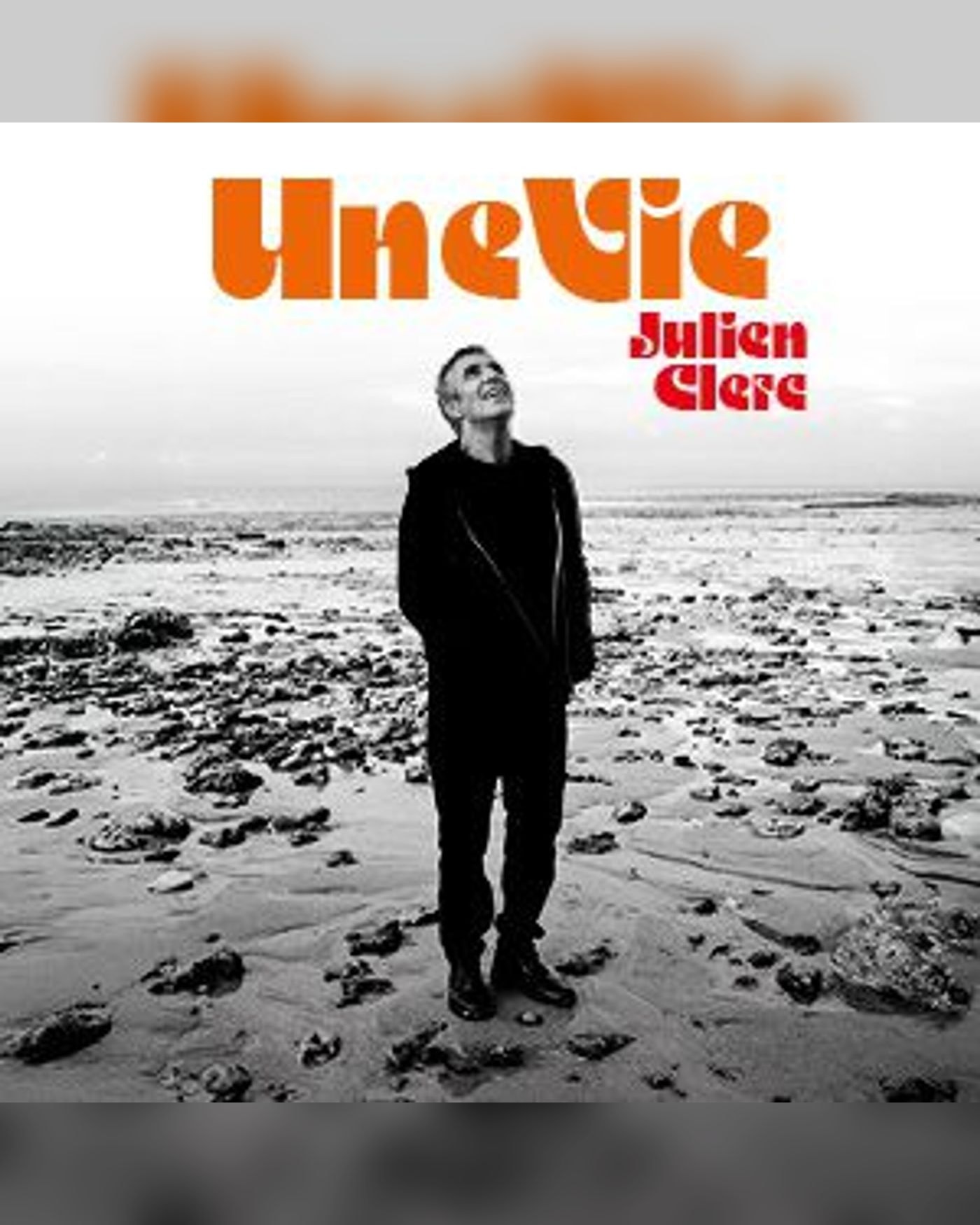 Affiche de Julien Clerc