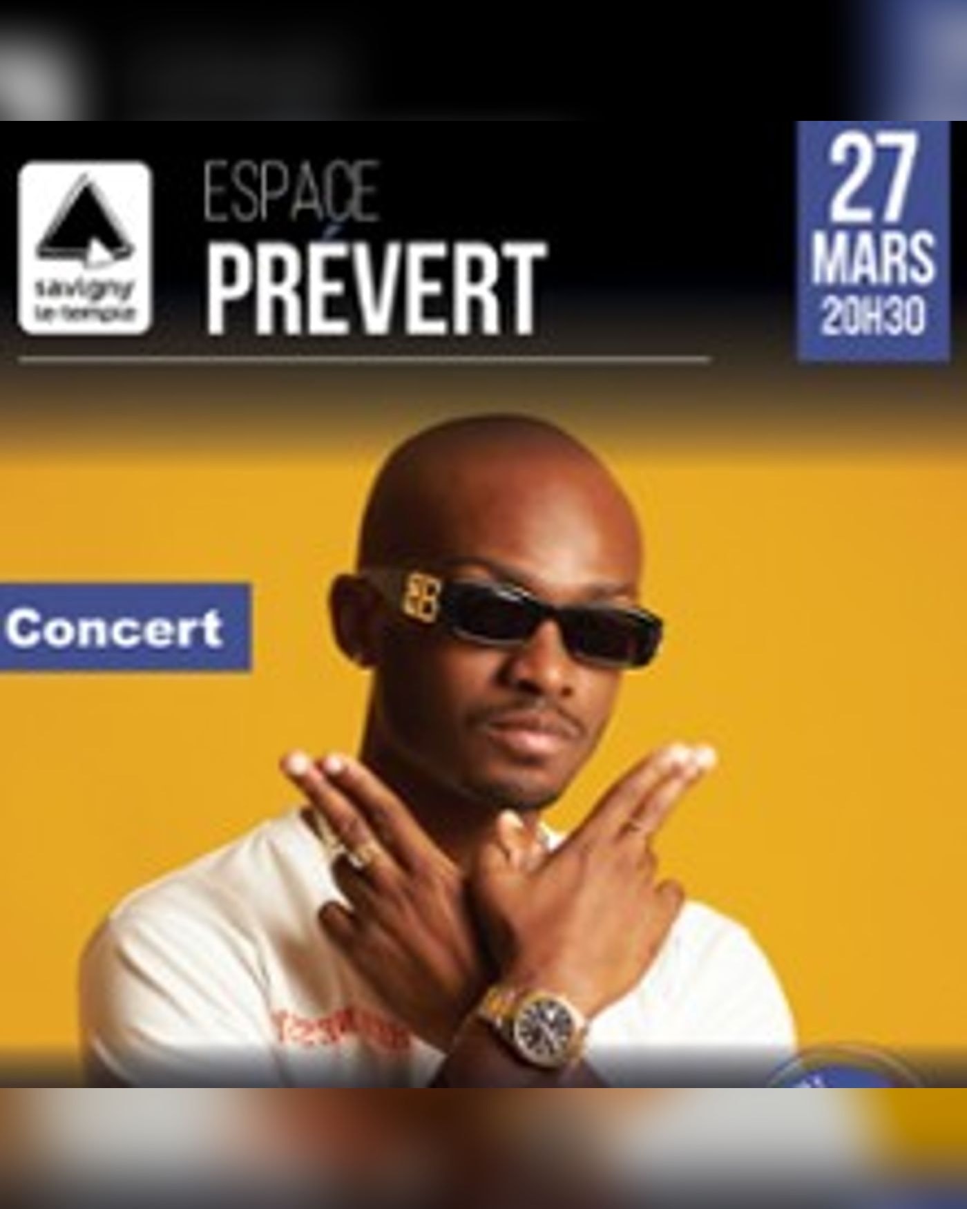 Poster for the concert Krys, Zénith Paris - La Villette