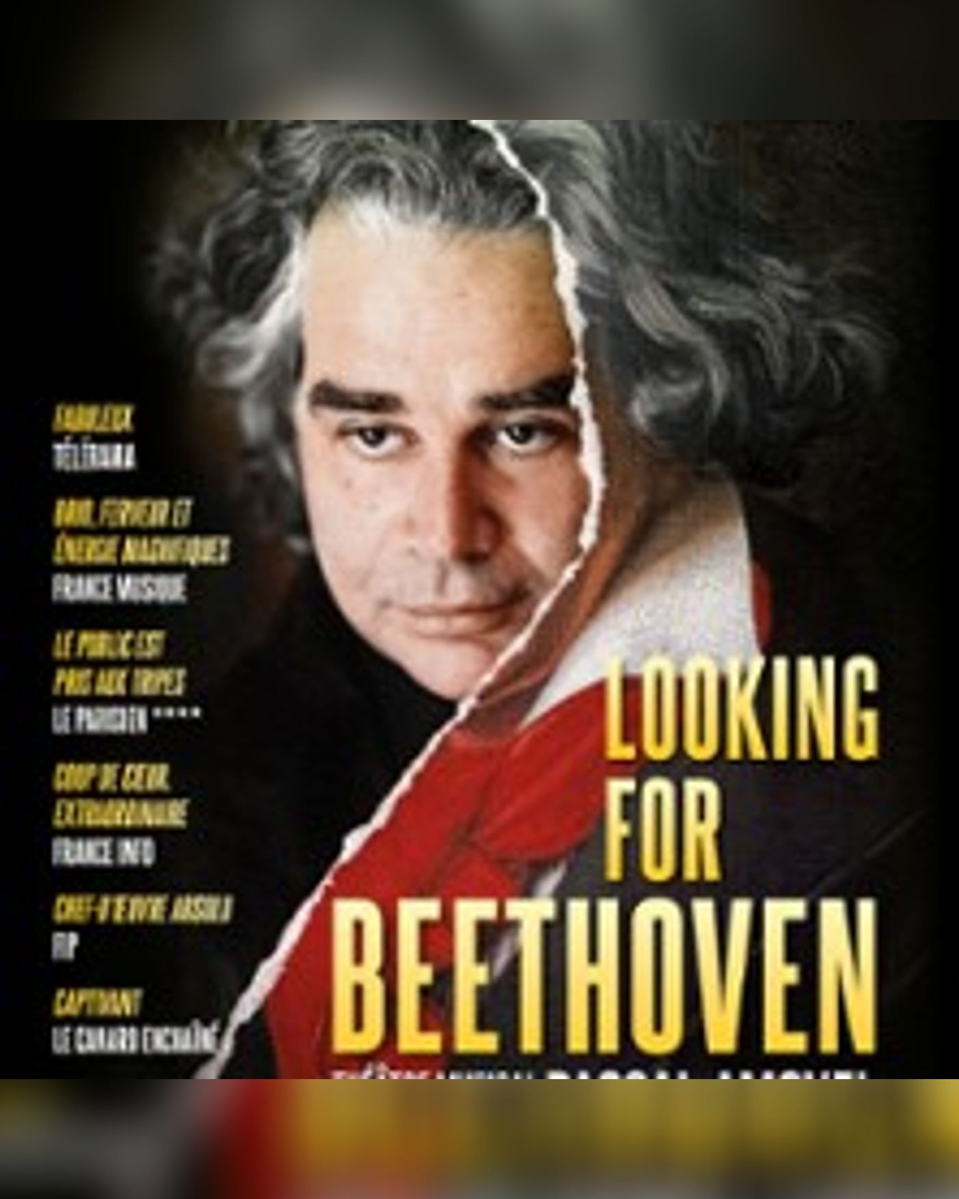 Looking for Beethoven