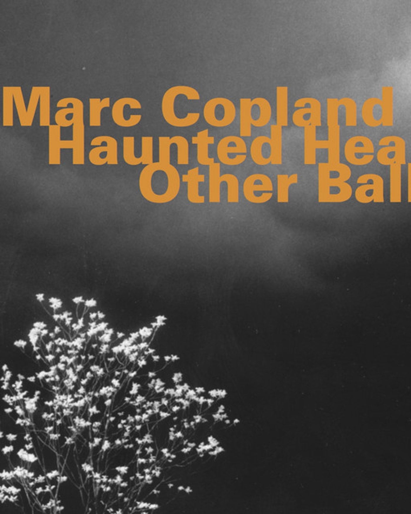 Marc Copland Trio ft. Stephane Kerecki & Fabrice Moreau ⎥Pianissimo Vol XXI