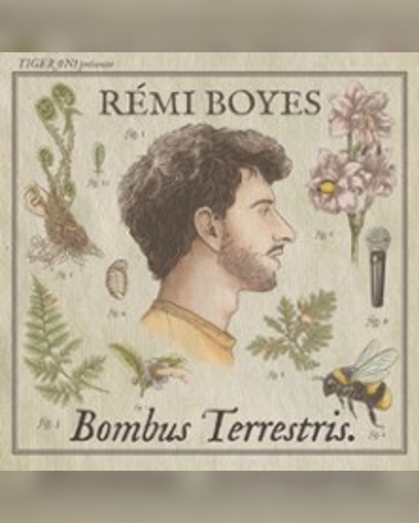 Rémi Boyes