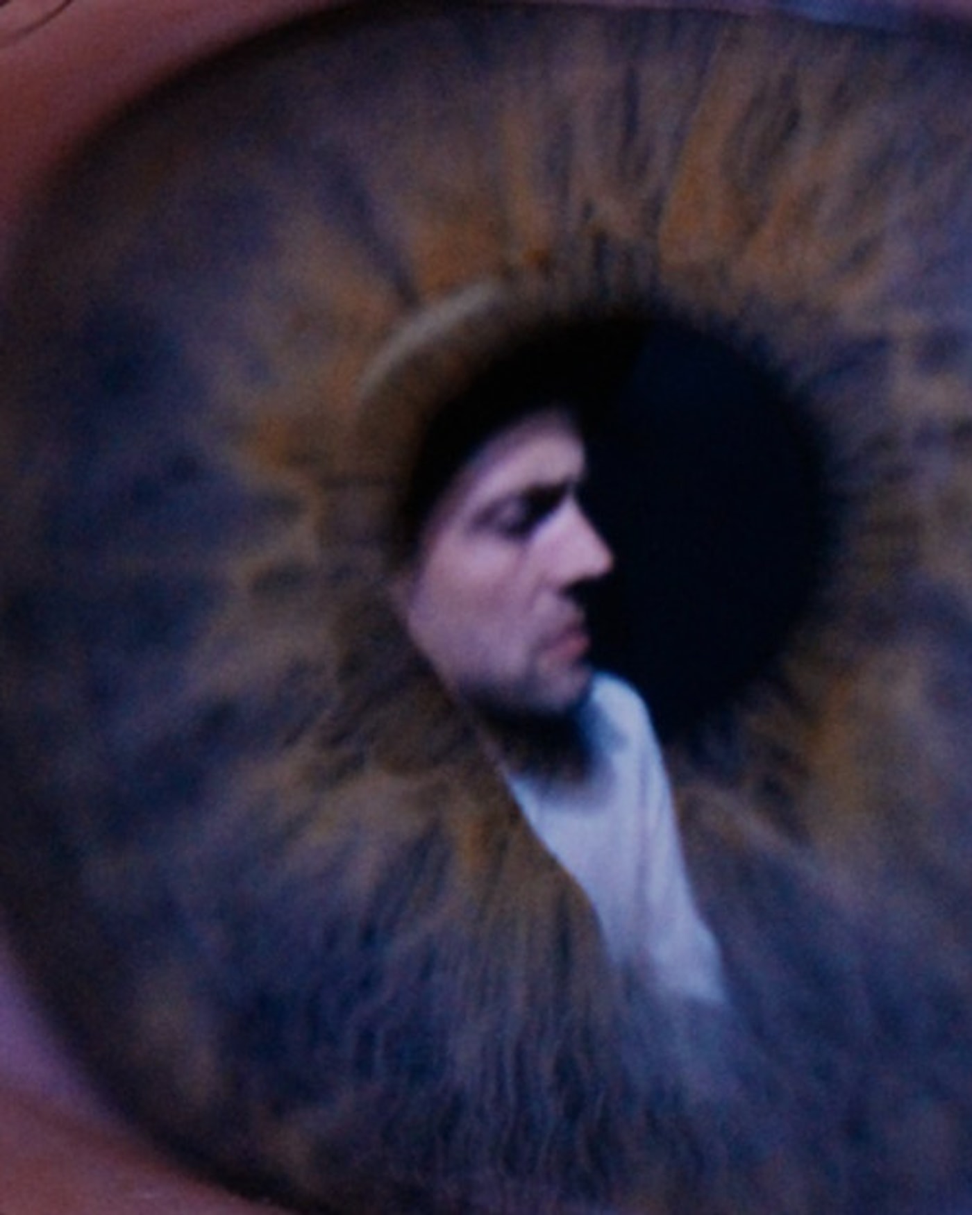 Affiche de The Veils
