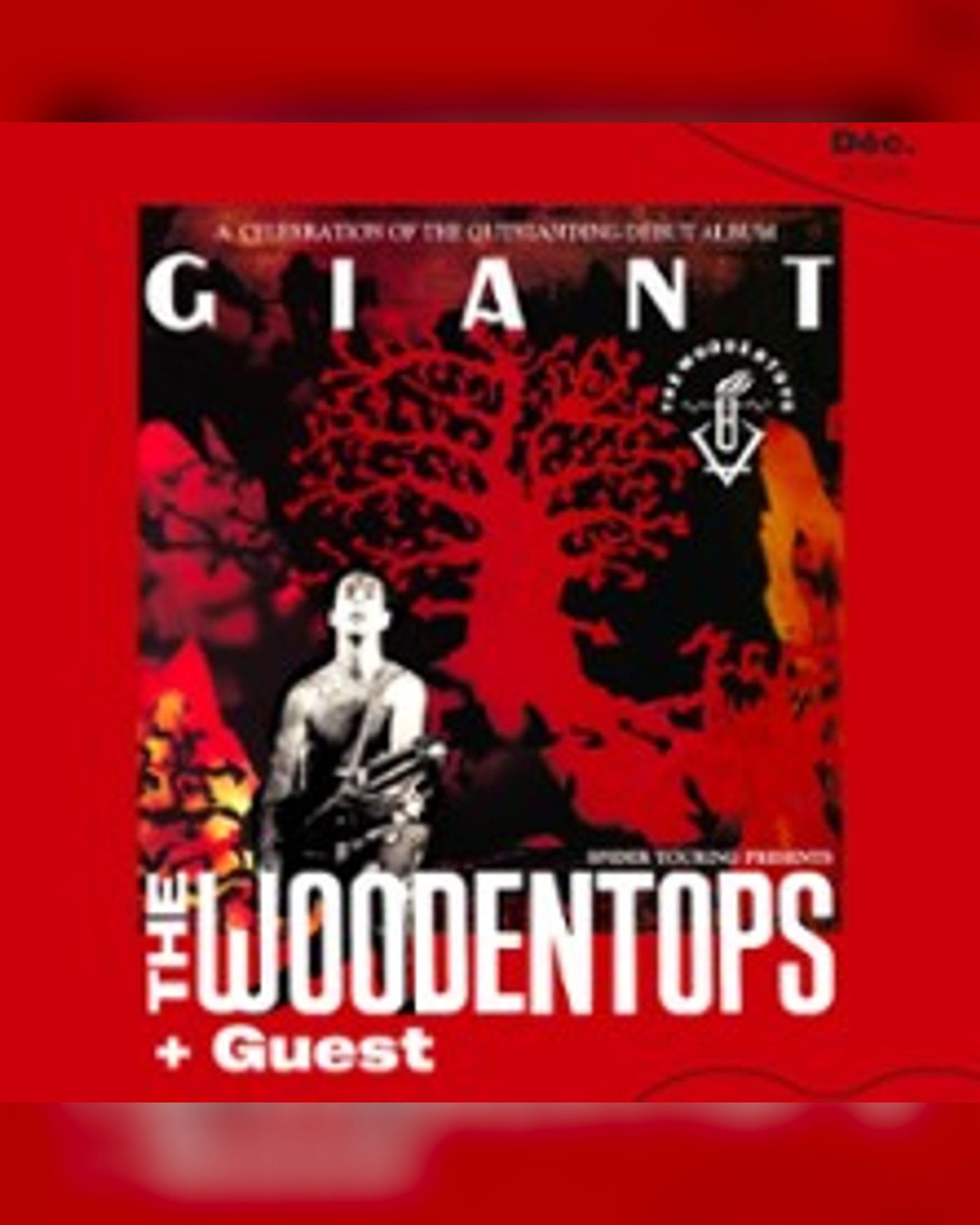 Affiche de The Woodentops