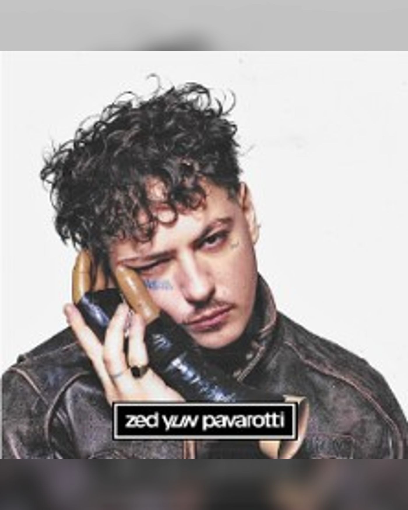 Affiche de Zed Yun Pavarotti