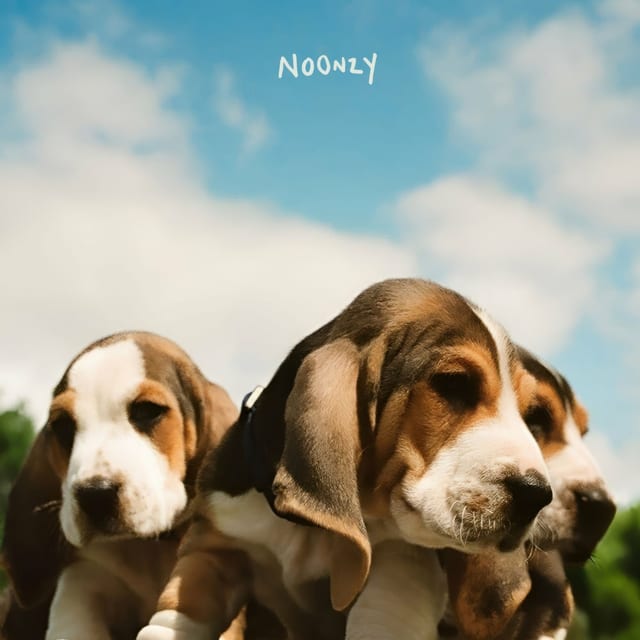 Noonzy