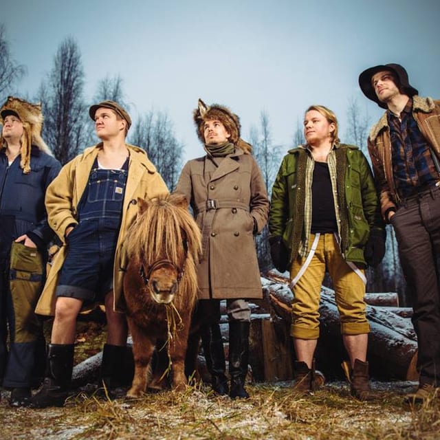 Steve'n'seagulls