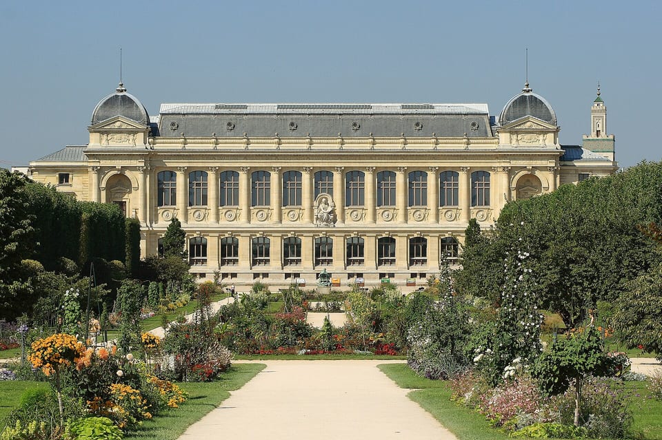 Grande galerie de l'évolution - Jardin des Plantes