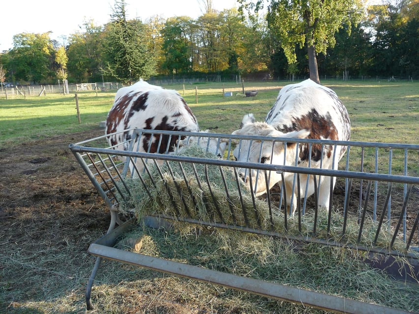 La Ferme de Paris