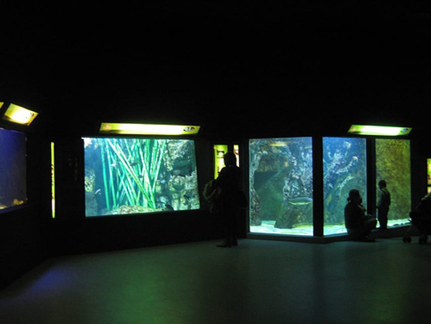 Aquarium du Grand Lyon