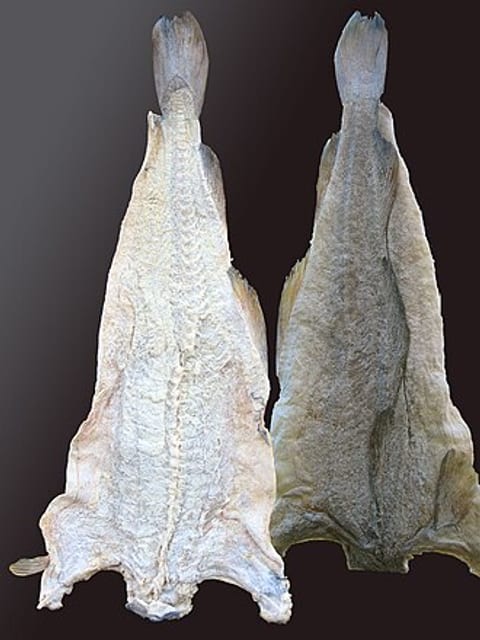 Stockfish
