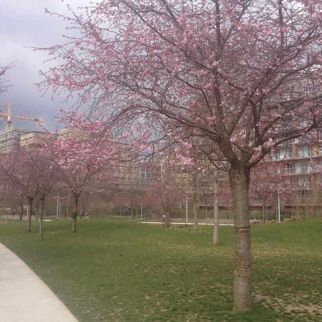 Parc Clichy Batignolles Martin Luther King