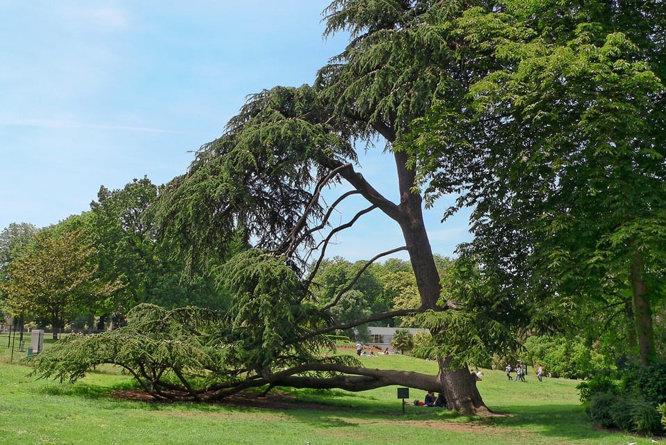 Parc Montsousris