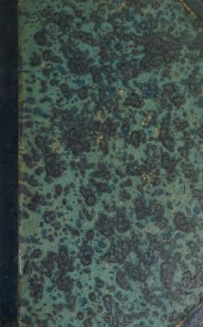Eglise Notre Dame la Daurade