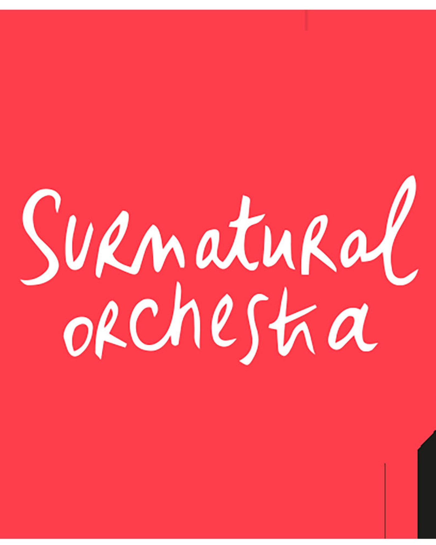 Cartel del concierto Surnatural Orchestra, Le CiNey