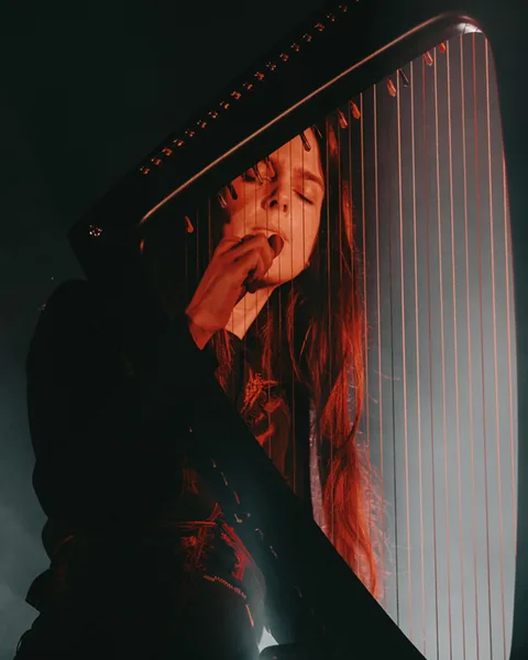 Affiche du concert gratuit : Aja