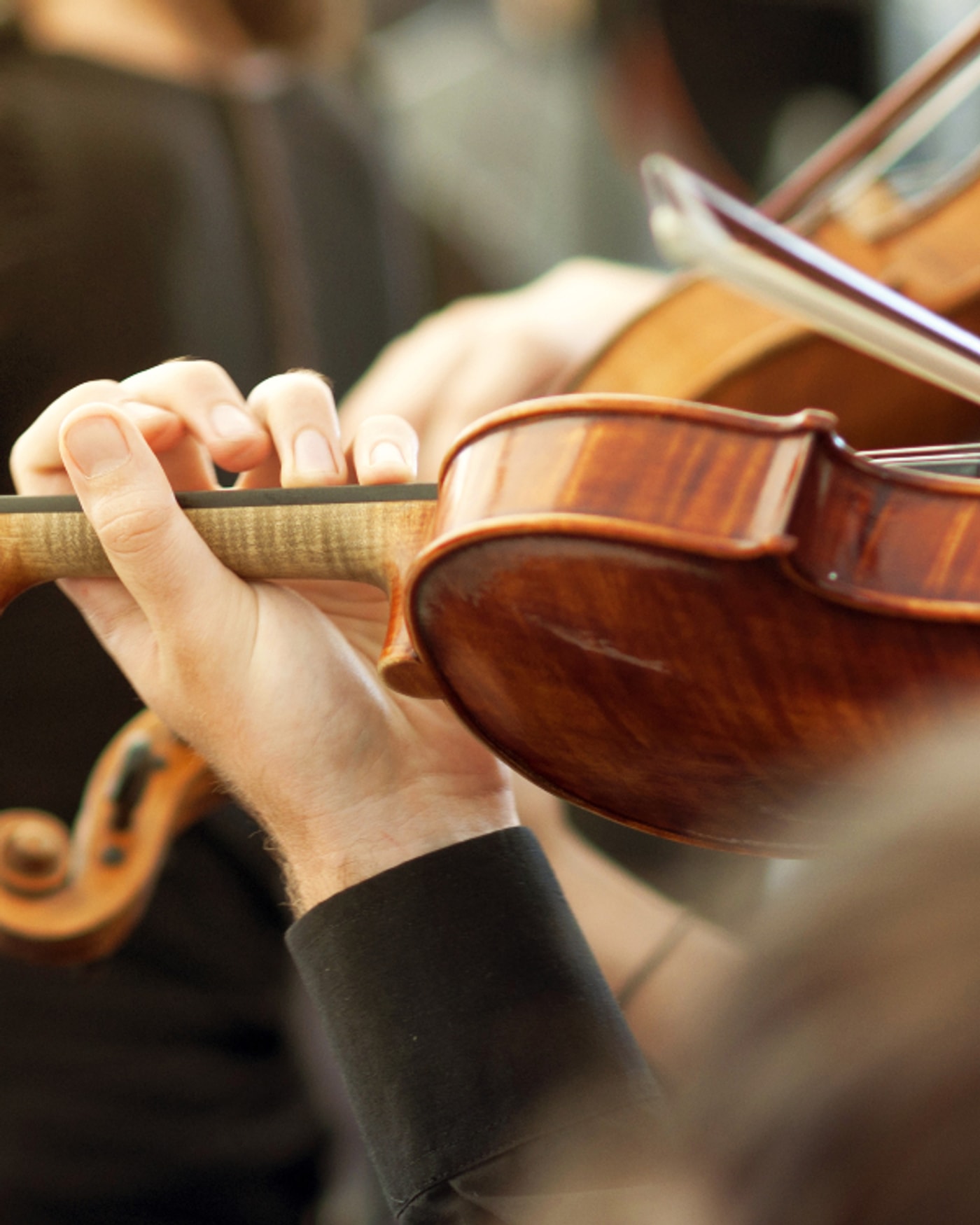 Violinistas en un conjunto orquestal.