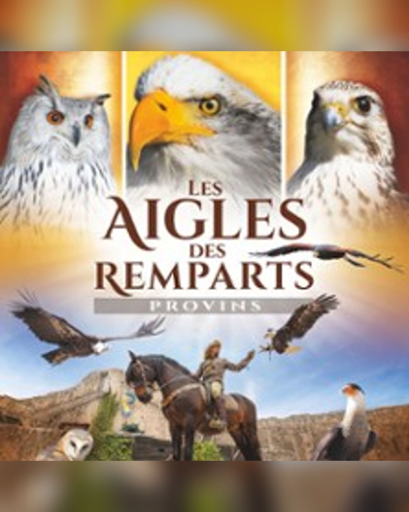 Affiche du spettacolo Les Aigles des Remparts - Fauconnerie Equestre, Provins - Cité Médiévale