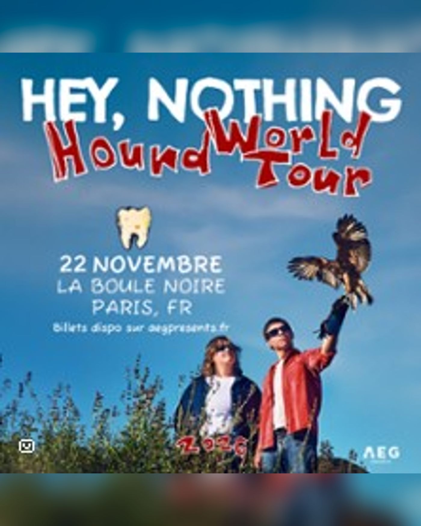 Affiche du concerto Hey, Nothing, La Boule Noire