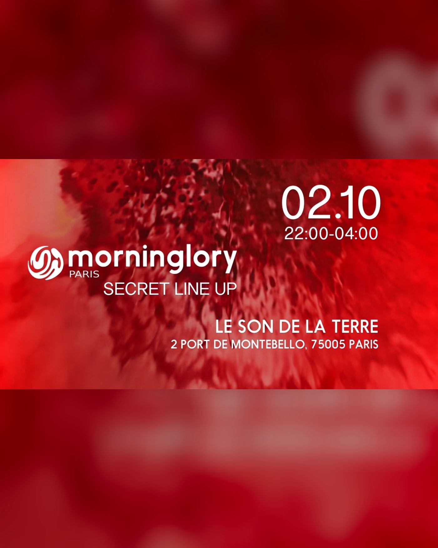 Affiche du concerto Morninglory, Le Son de la Terre