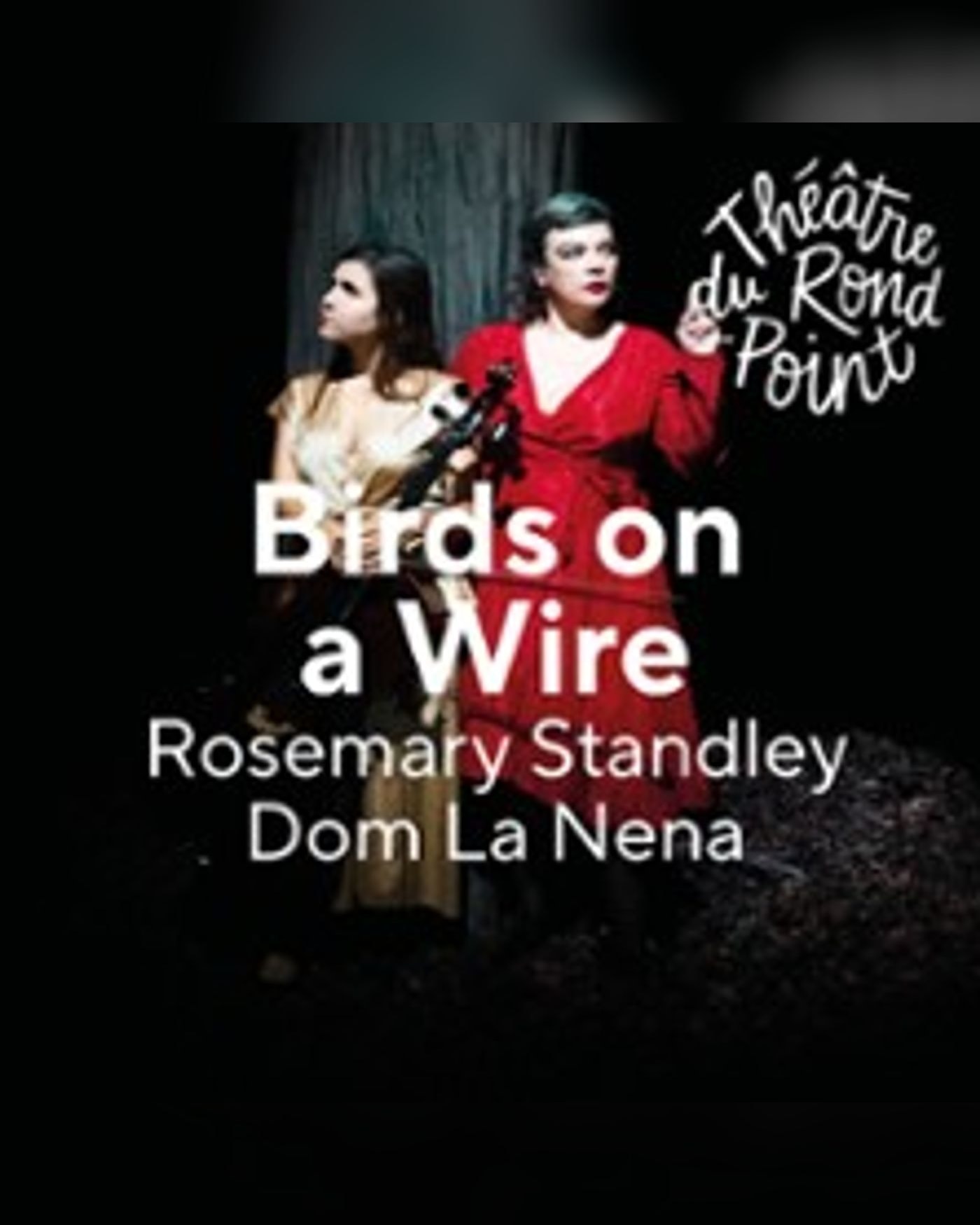 Affiche du concerto Birds on a Wire - Rosemary Standley & Dom La Nena, Th.rond — Point Salle Renaud Barrault