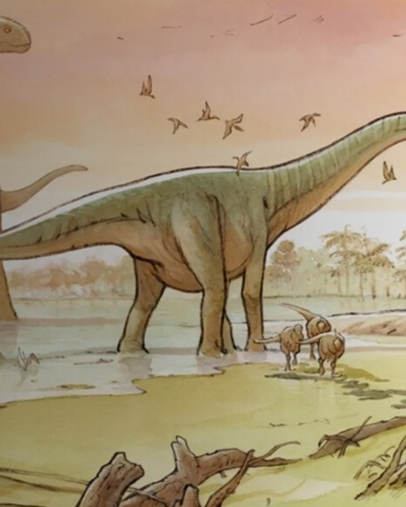 Cartel de la exposición "Sur les traces des dinosaures" MNHN - 2026