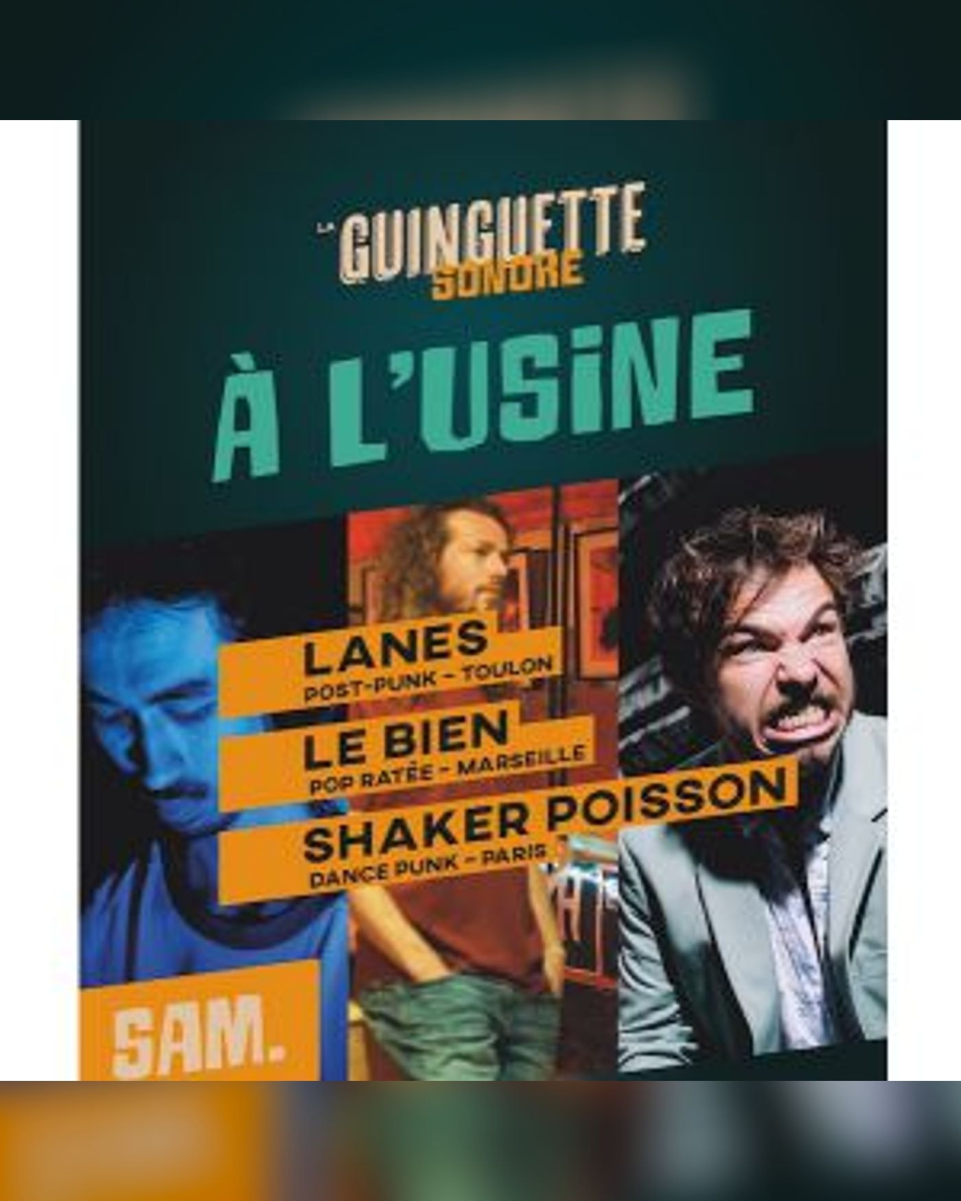 SHAKER POISSON